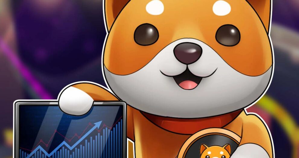 BabyDoge Coin Future Price Expectations and analysis
